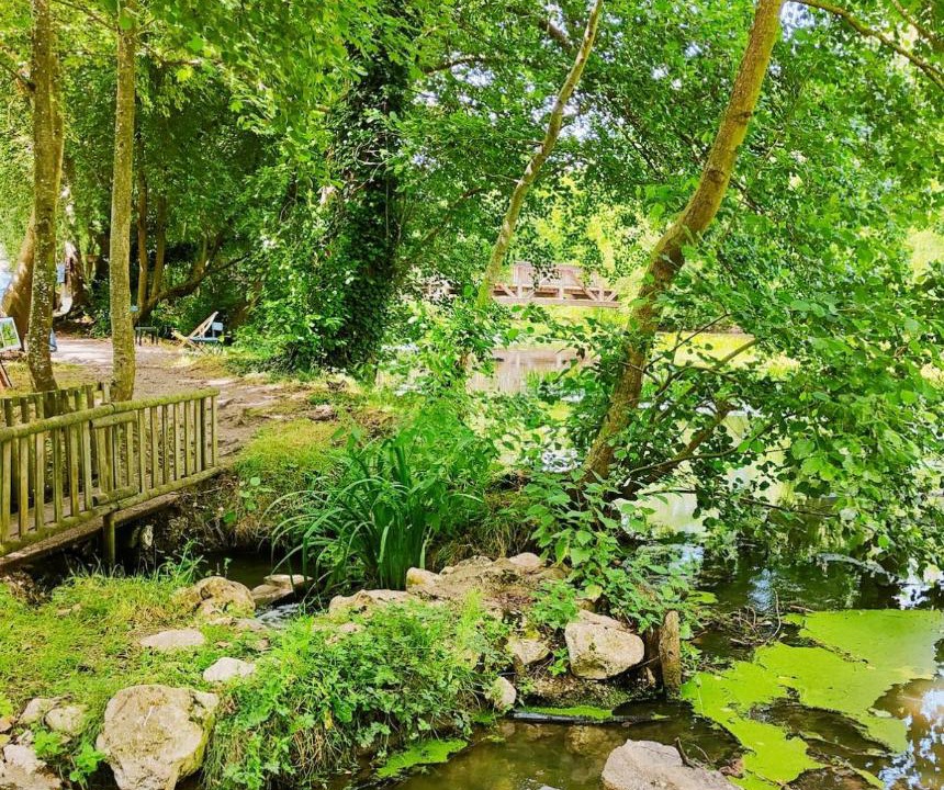 Photo of Others in Cellettes