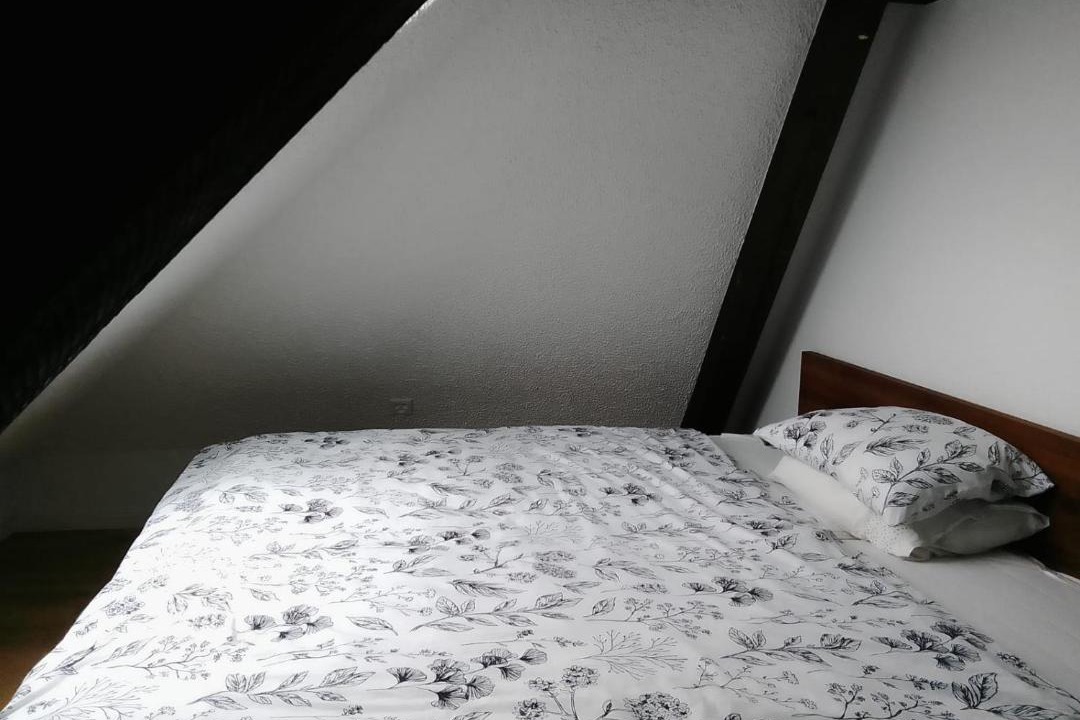 Photo of Bedroom in Binningen