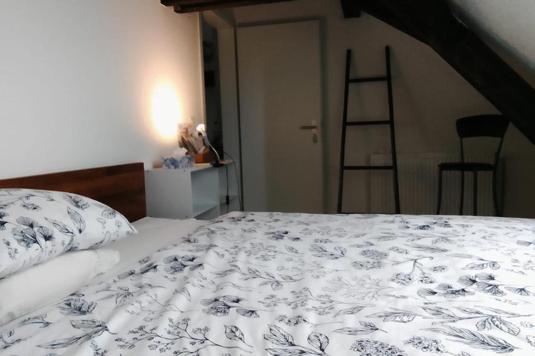 Photo of Bedroom in Binningen