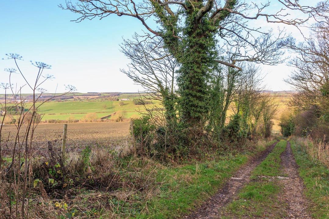 Photo of Others in Spennymoor