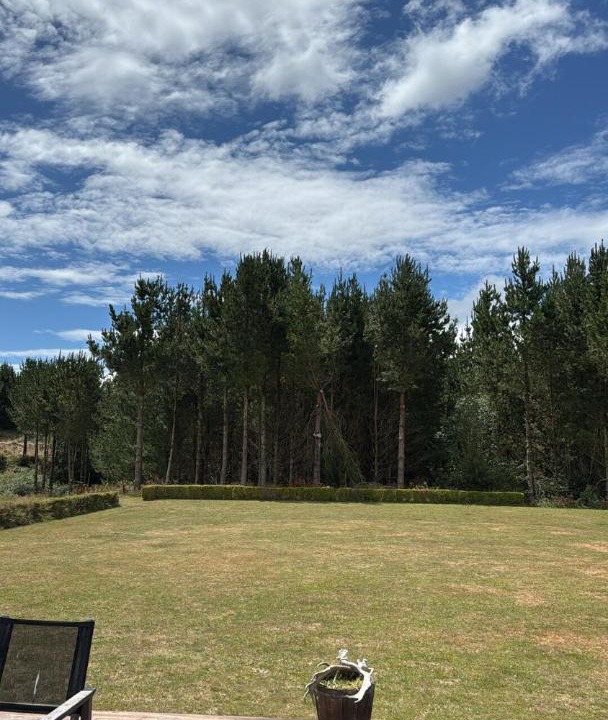 Photo of Others in Oruanui