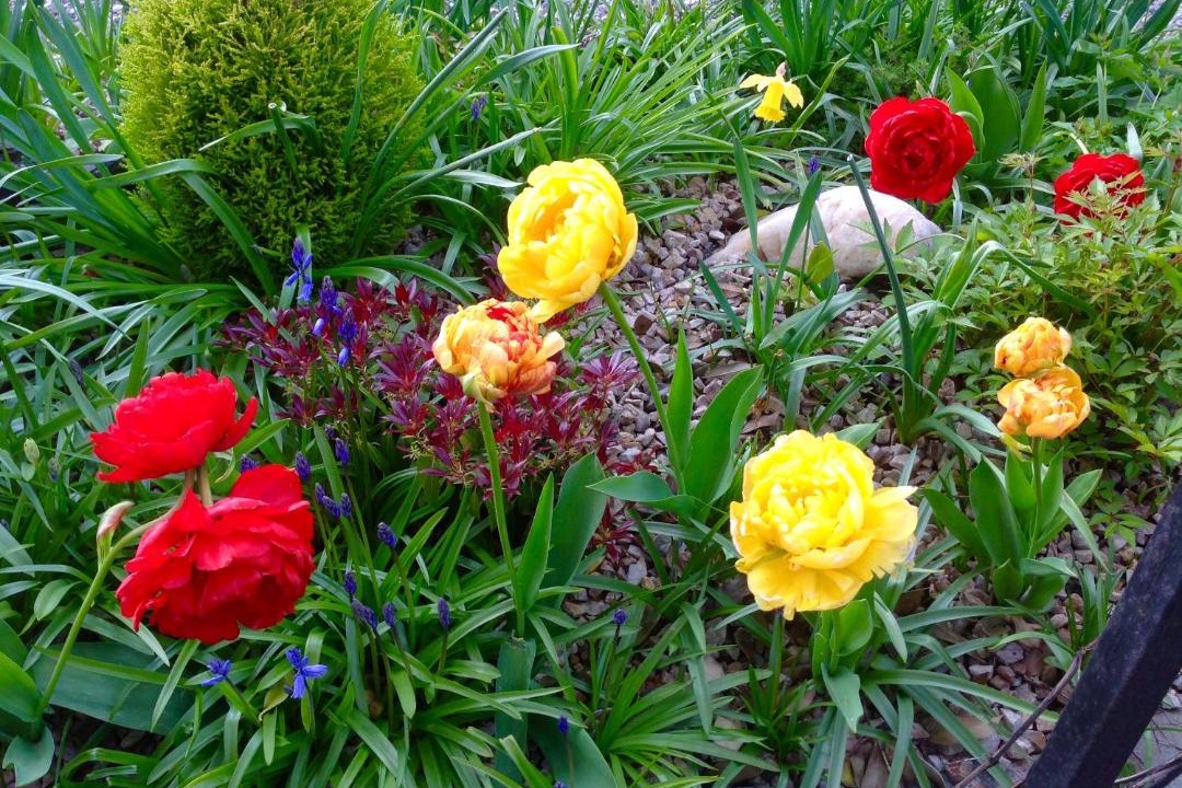 Photo of Others in Perth