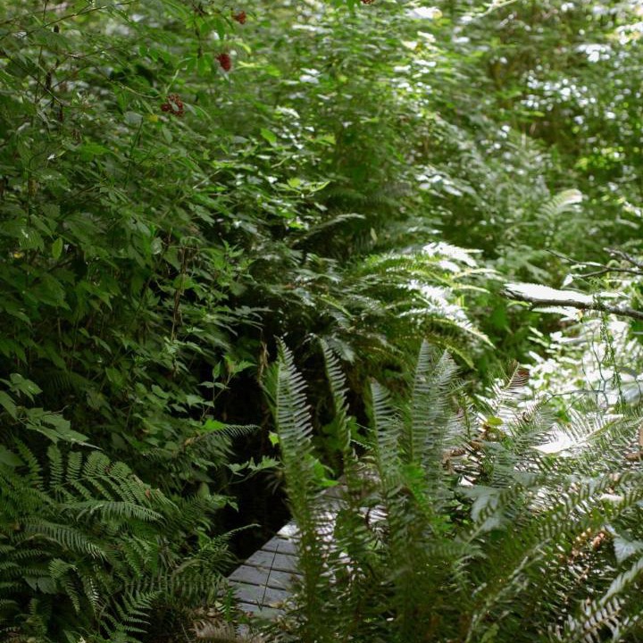 Photo of Others in Cloverdale