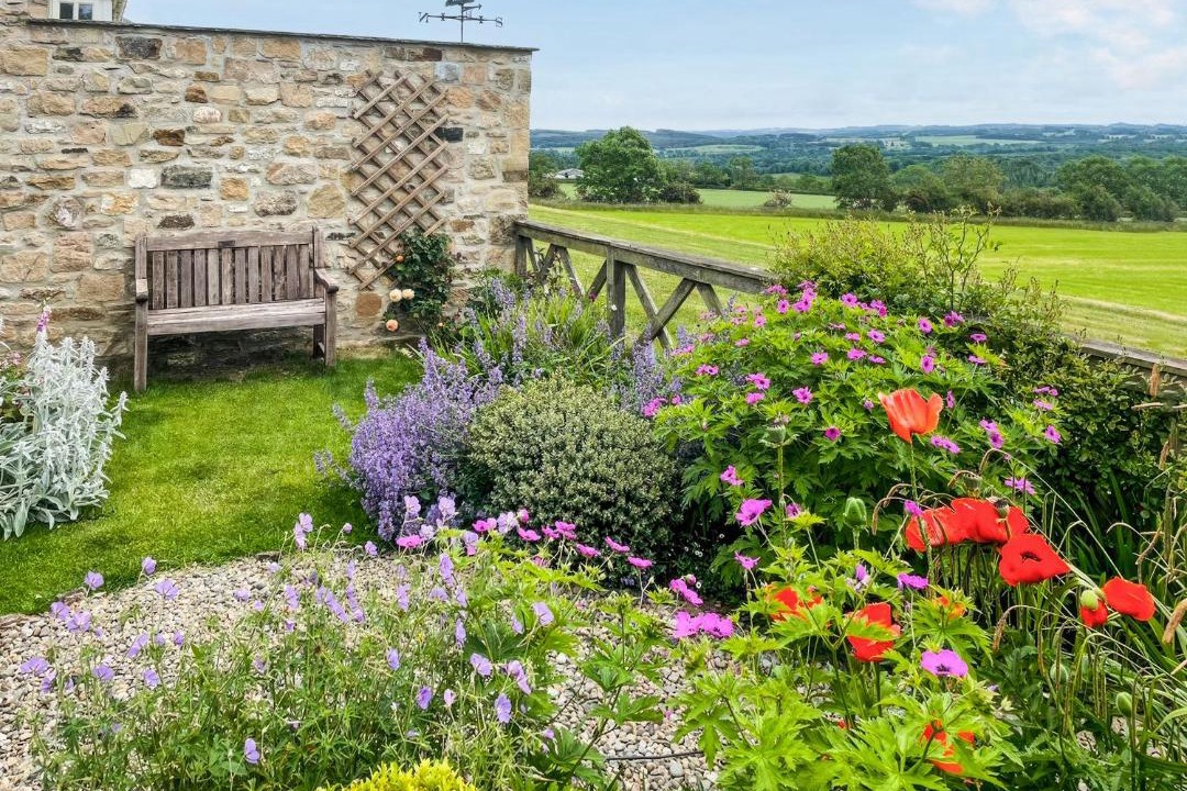 Photo of Others in Hexham