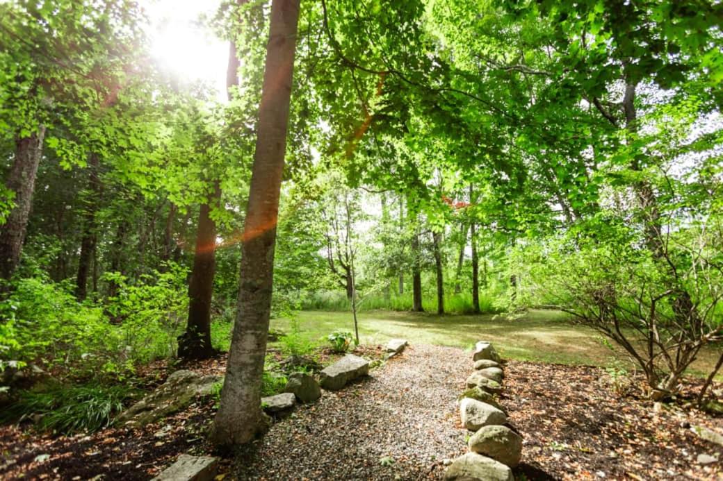 Photo of Outdoor in Winterport