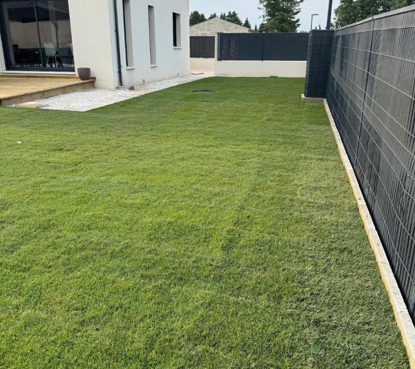 Photo of Others in Violes