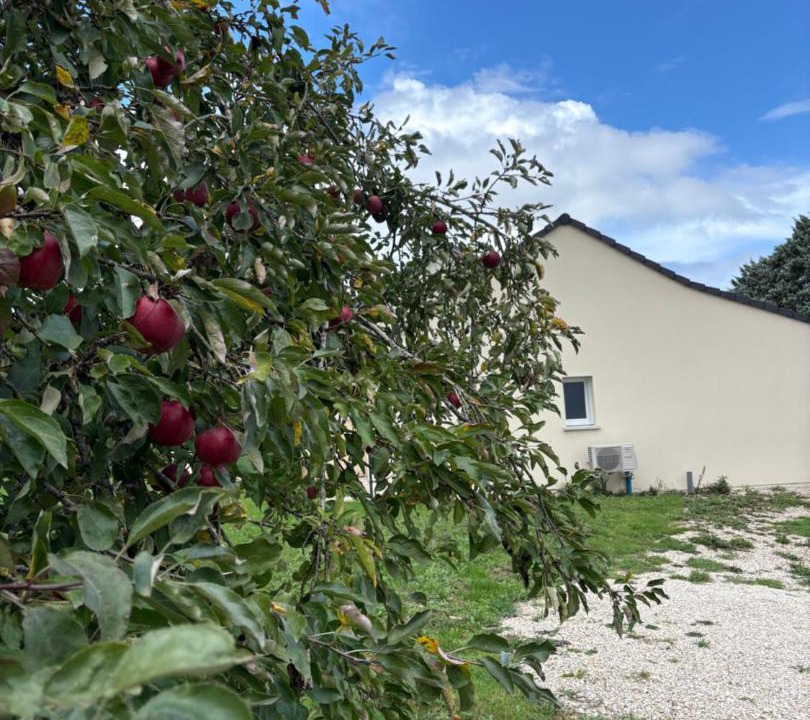 Photo of Others in Saint-Aubin