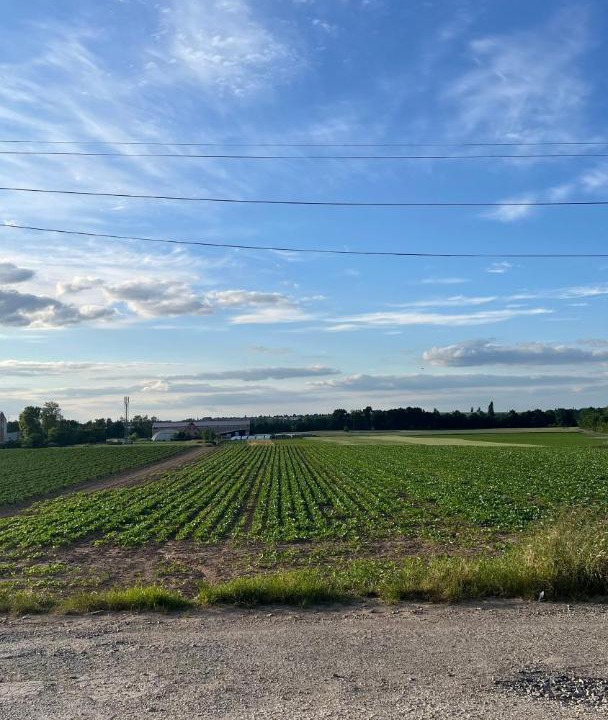 Photo of Others in Duppigheim