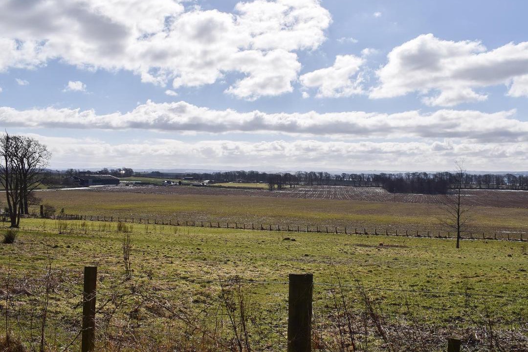 Photo of Others in Dunfermline