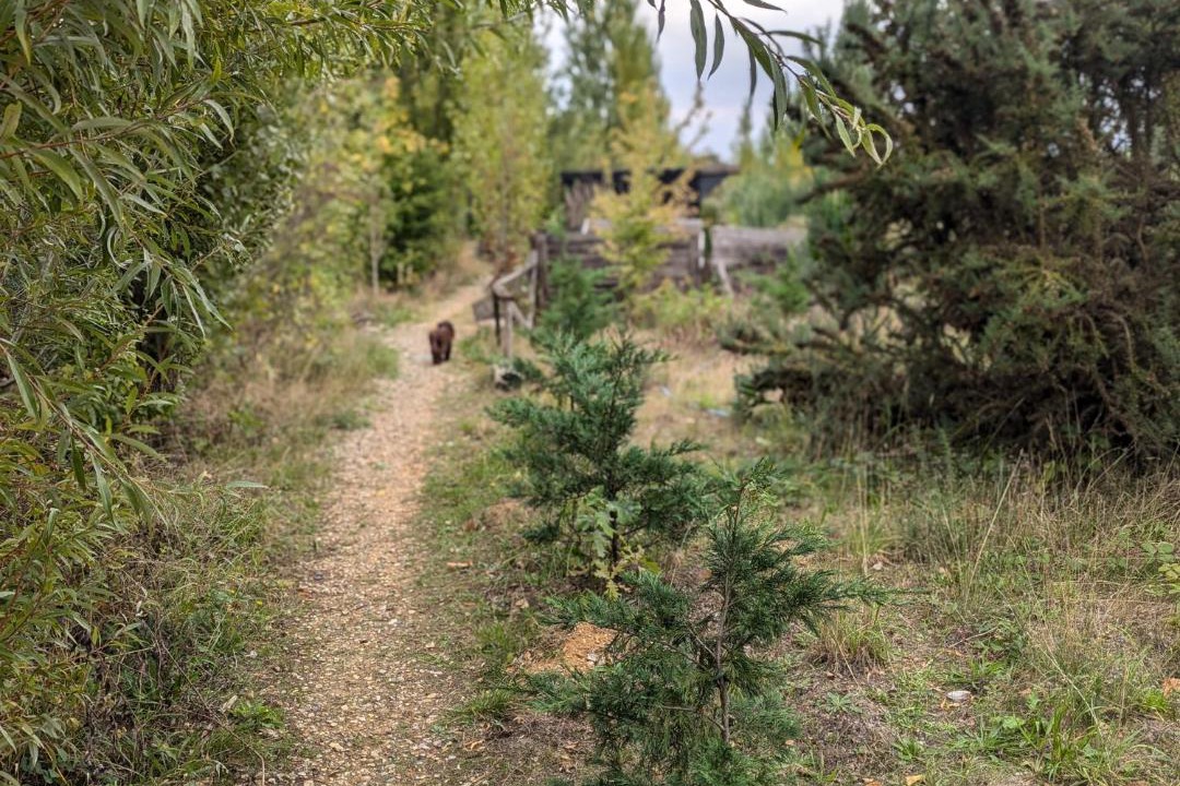 Photo of Outdoor in St. Mary's