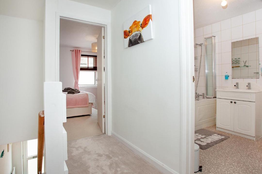 Photo of Others in Dawlish