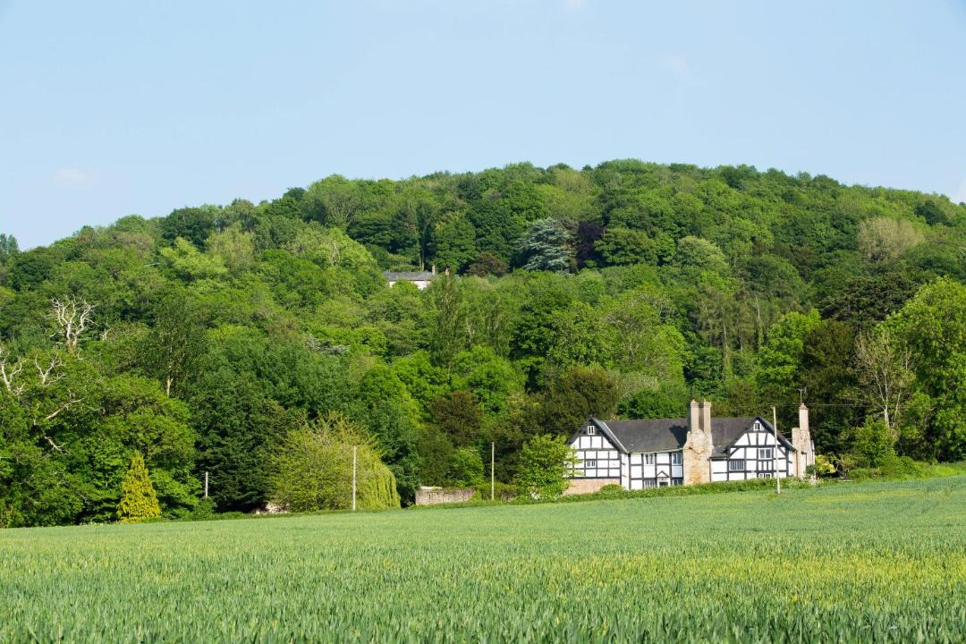 Photo of Others in Walford