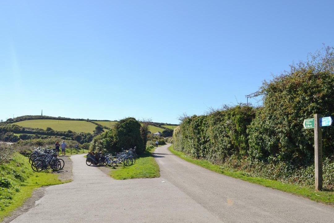 Photo of Others in Treator