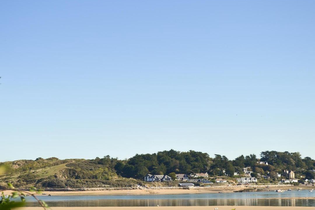 Photo of Others in Treator