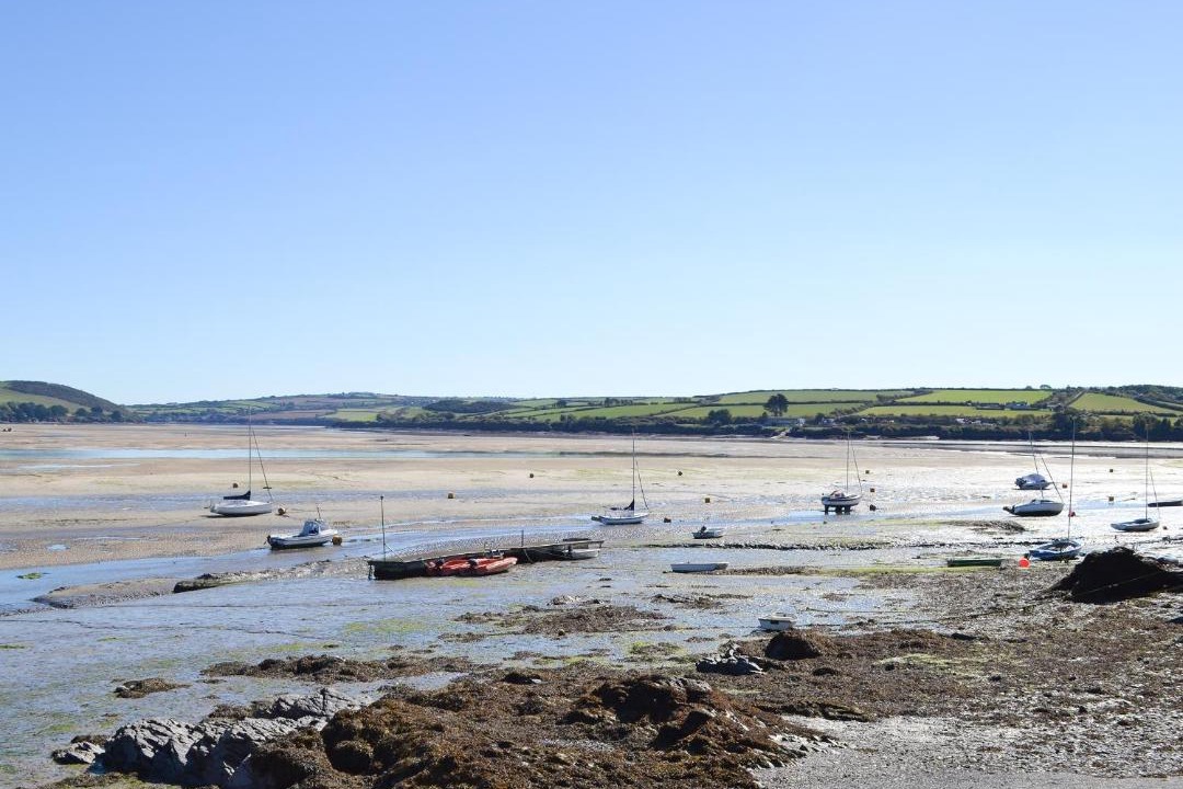 Photo of Others in Treator