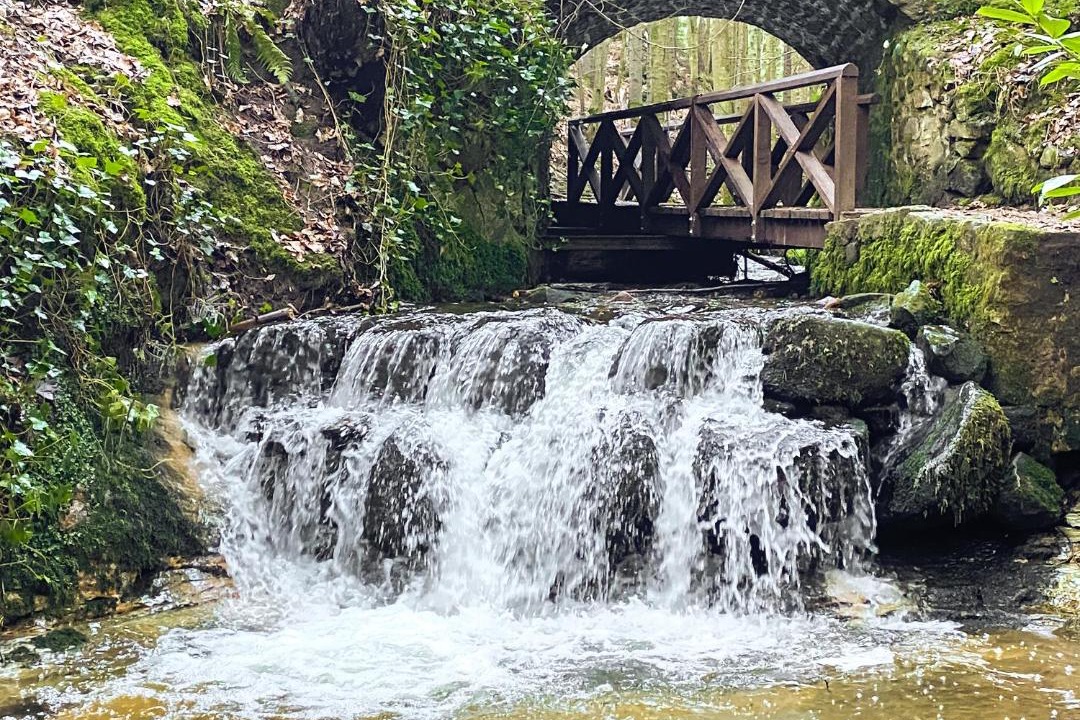 Photo of Others in Falkland