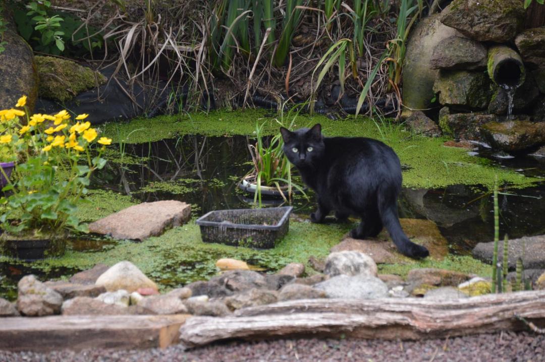 Photo of Others in Landisacq