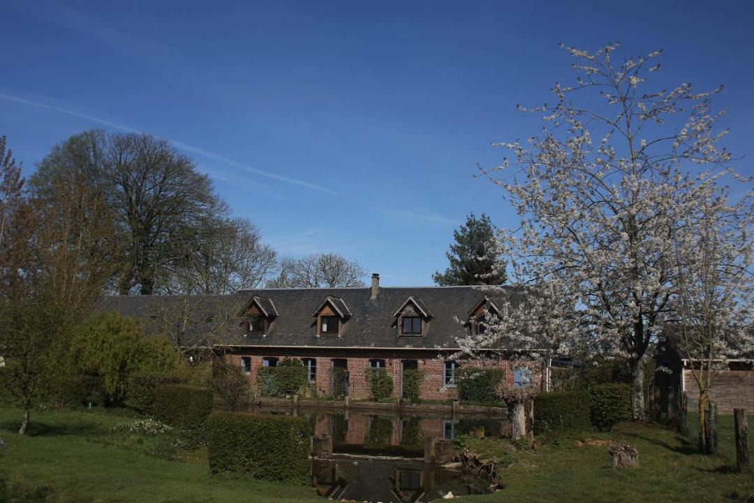 Photo of Others in Saint-Martin-aux-Arbres