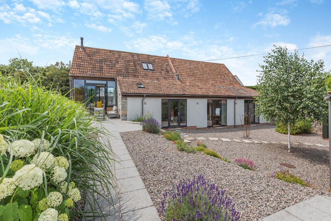 Photo of Others in Muchelney