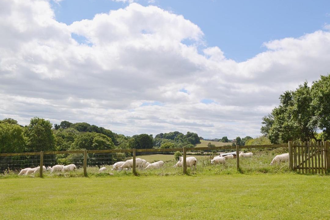 Photo of Others in Boraston