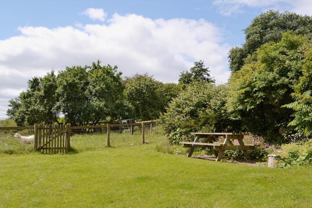 Photo of Others in Boraston