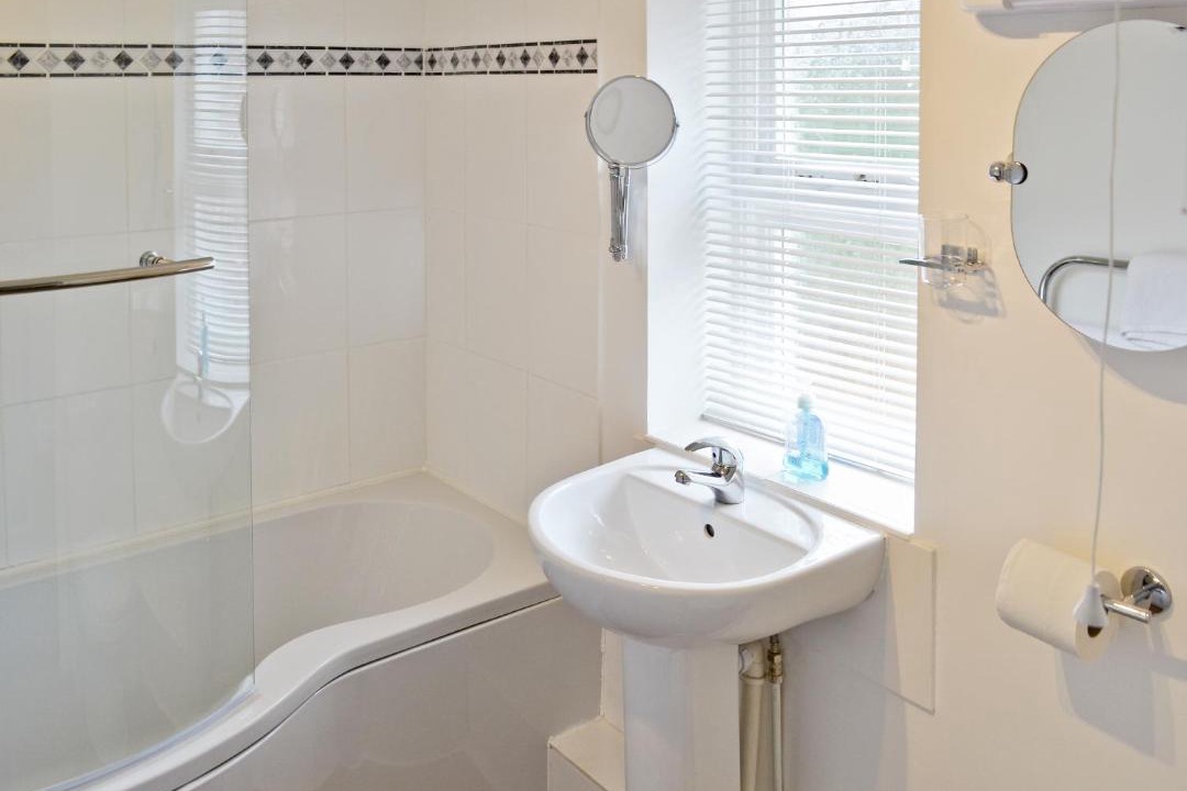 Photo of Others in Birch