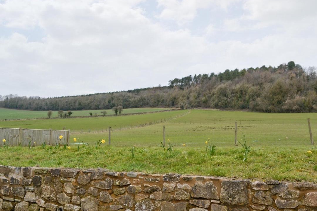 Photo of Others in Redbrook