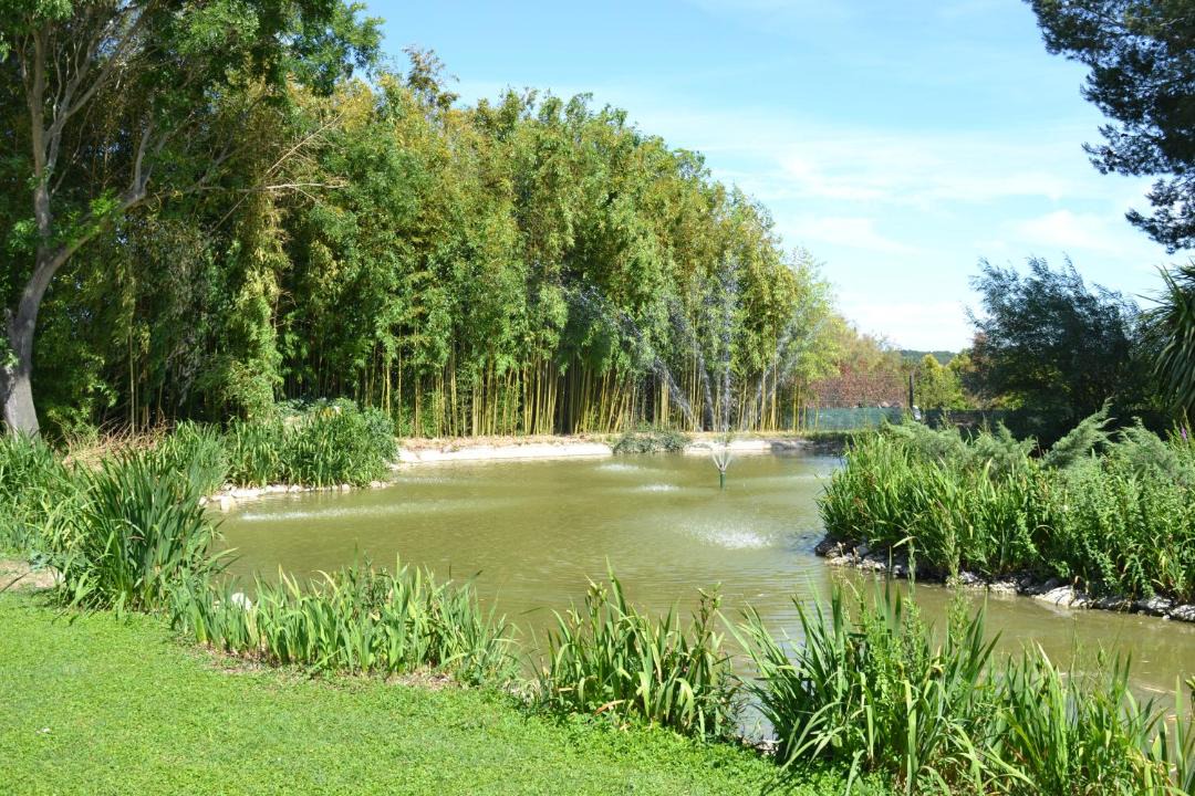 Photo of Outdoor in Le Cailar