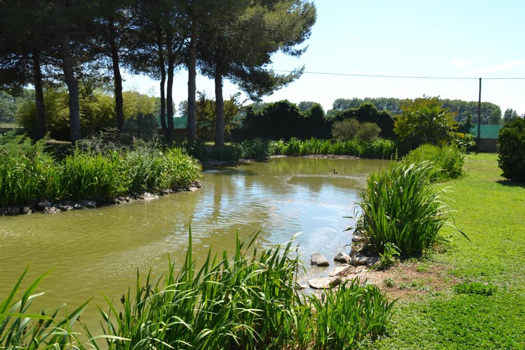 Photo of Outdoor in Le Cailar