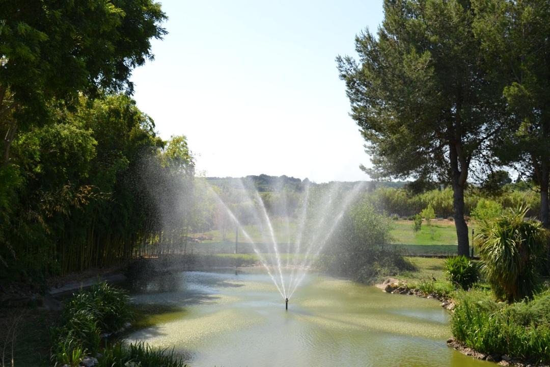 Photo of Others in Le Cailar