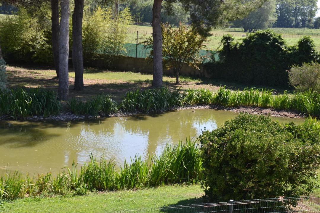 Photo of Outdoor in Le Cailar