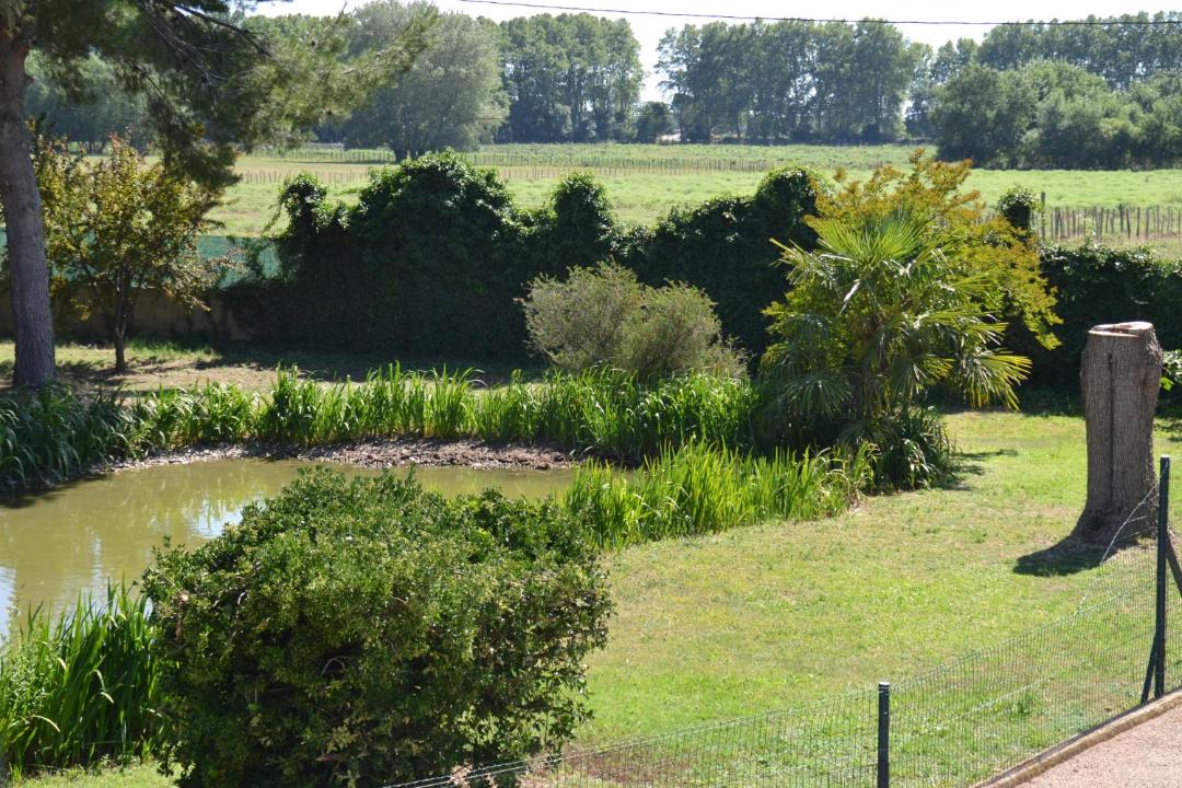 Photo of Others in Le Cailar