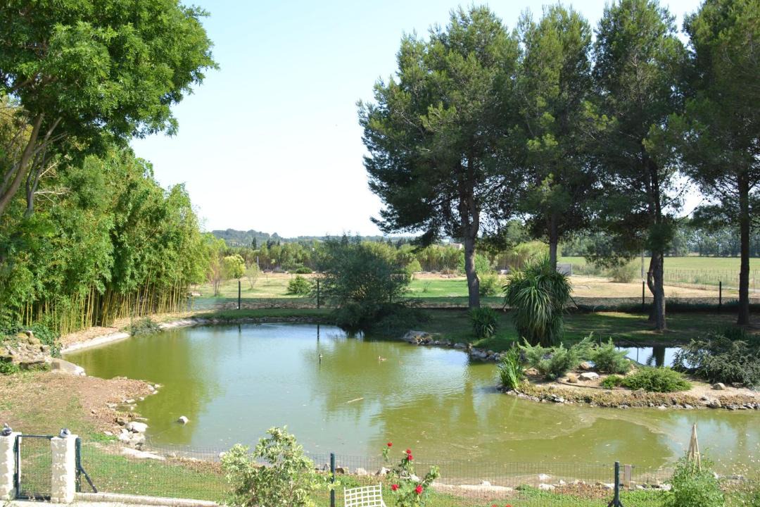 Photo of Outdoor in Le Cailar