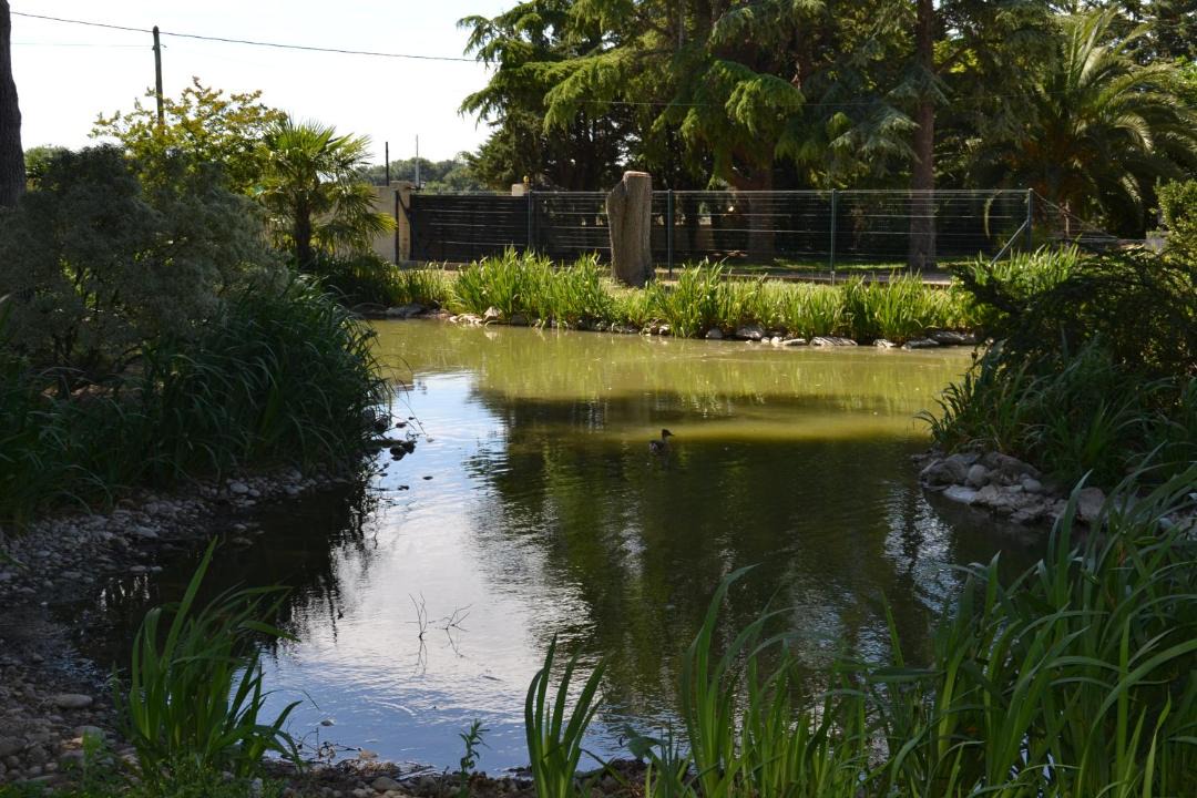 Photo of Outdoor in Le Cailar