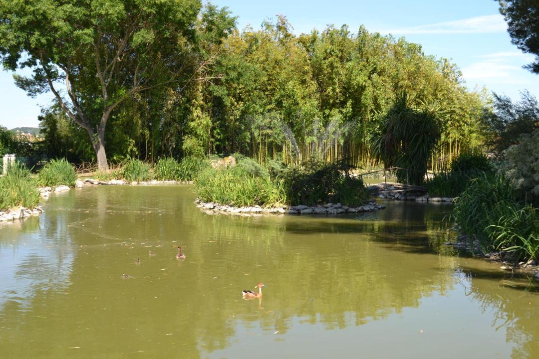 Photo of Outdoor in Le Cailar