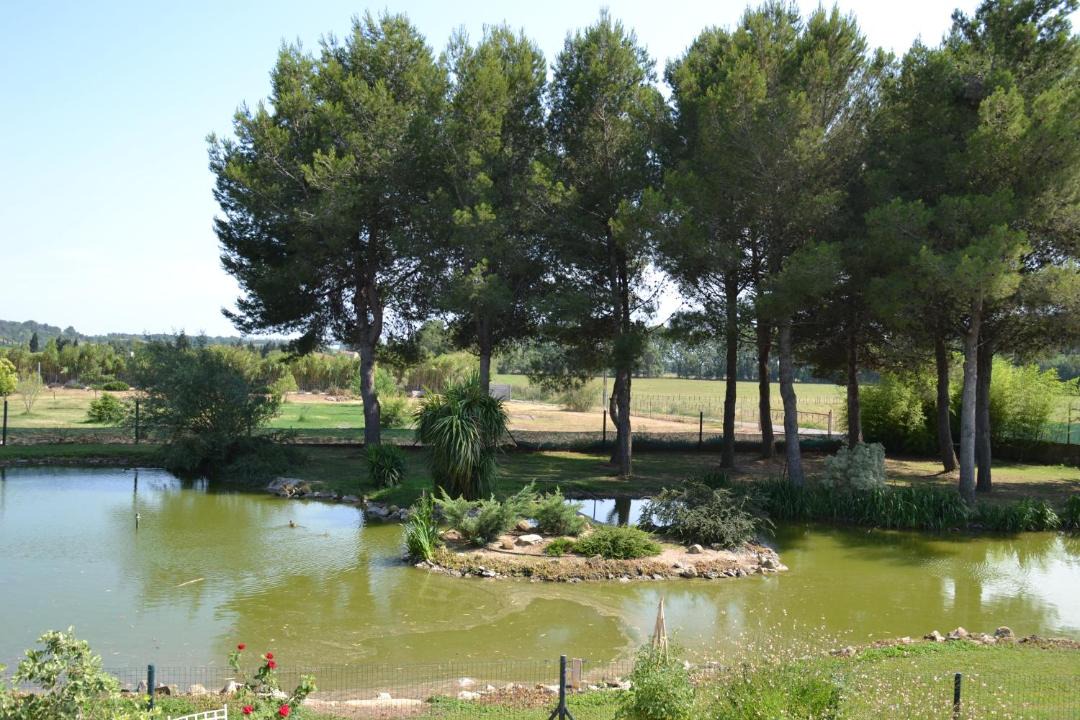 Photo of Outdoor in Le Cailar