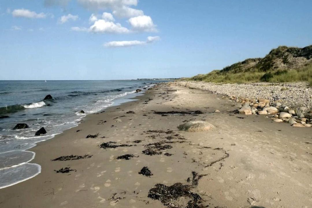 Photo of Others in Læsø
