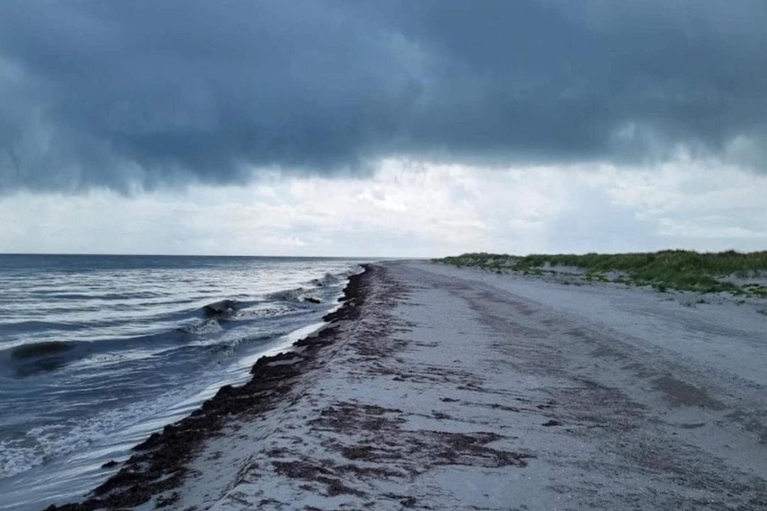 Photo of Others in Læsø