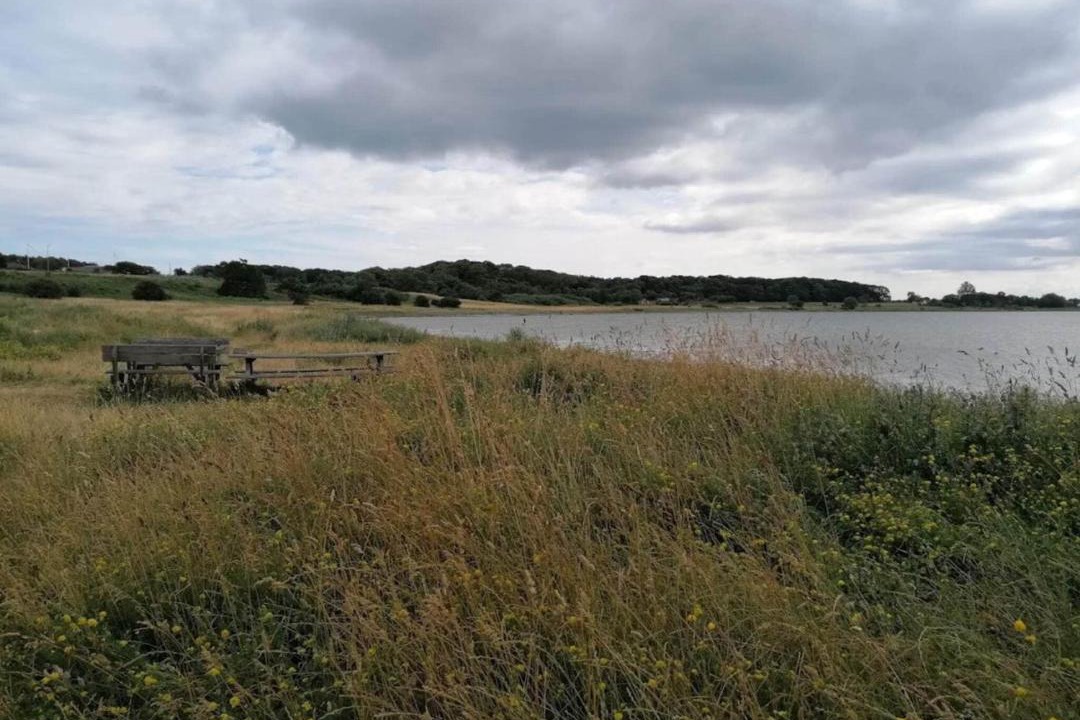 Photo of Others in Vibæk Strand
