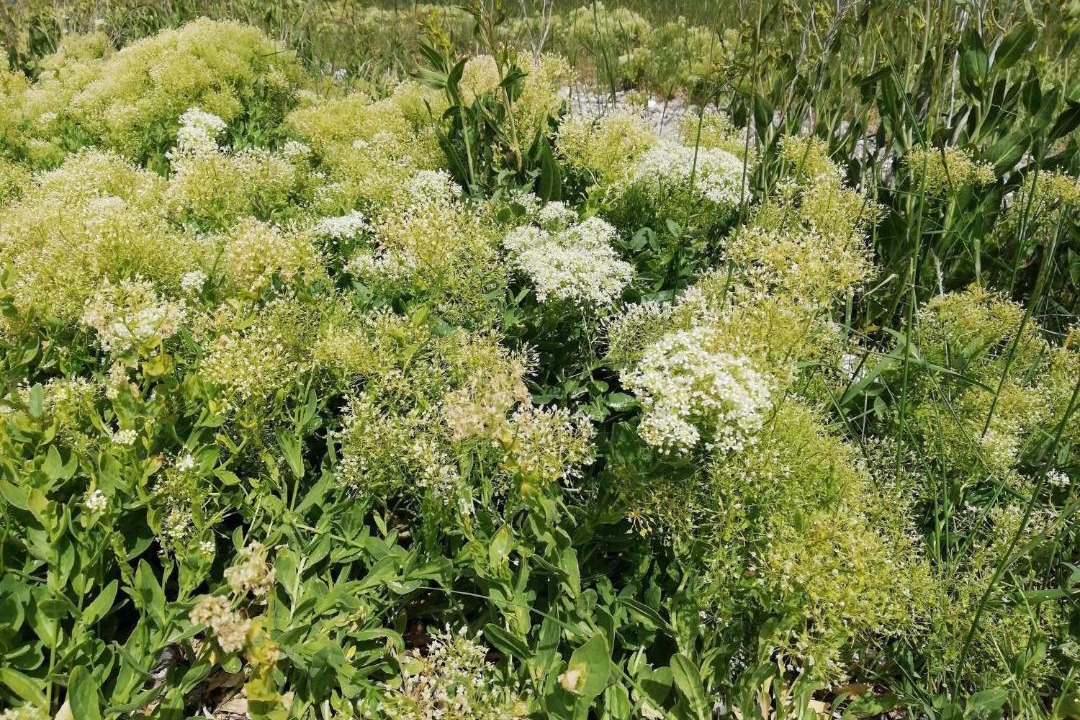 Photo of Outdoor in Aeroskobing