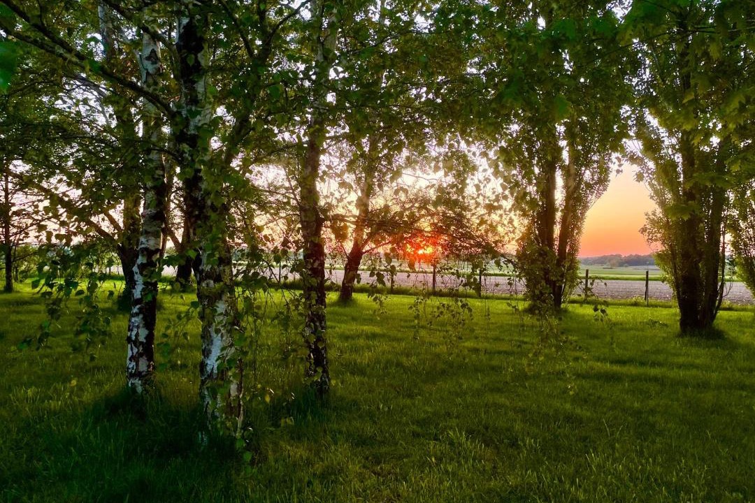 Photo of Others in Tugeras Saint Maurice