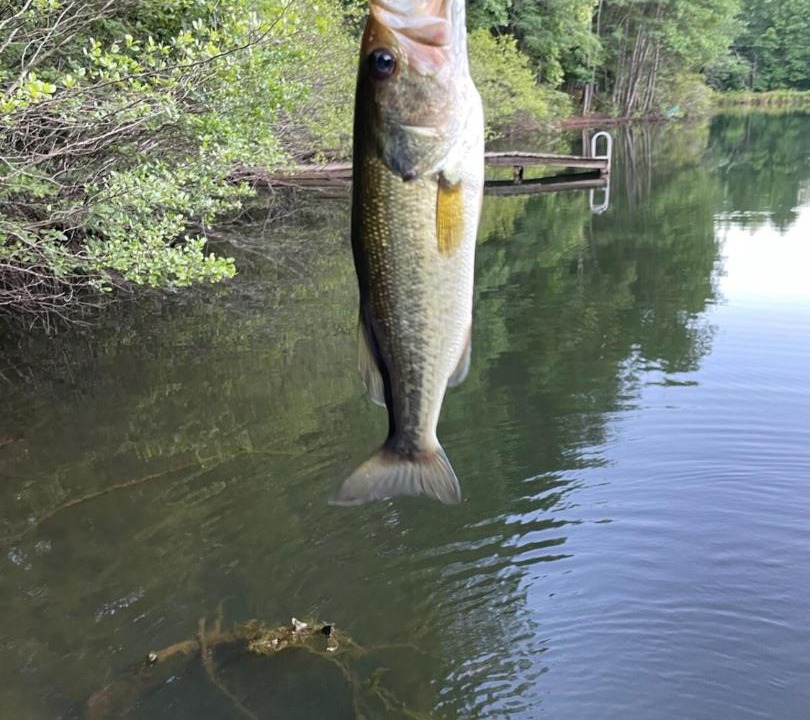 Photo of Others in Murphy