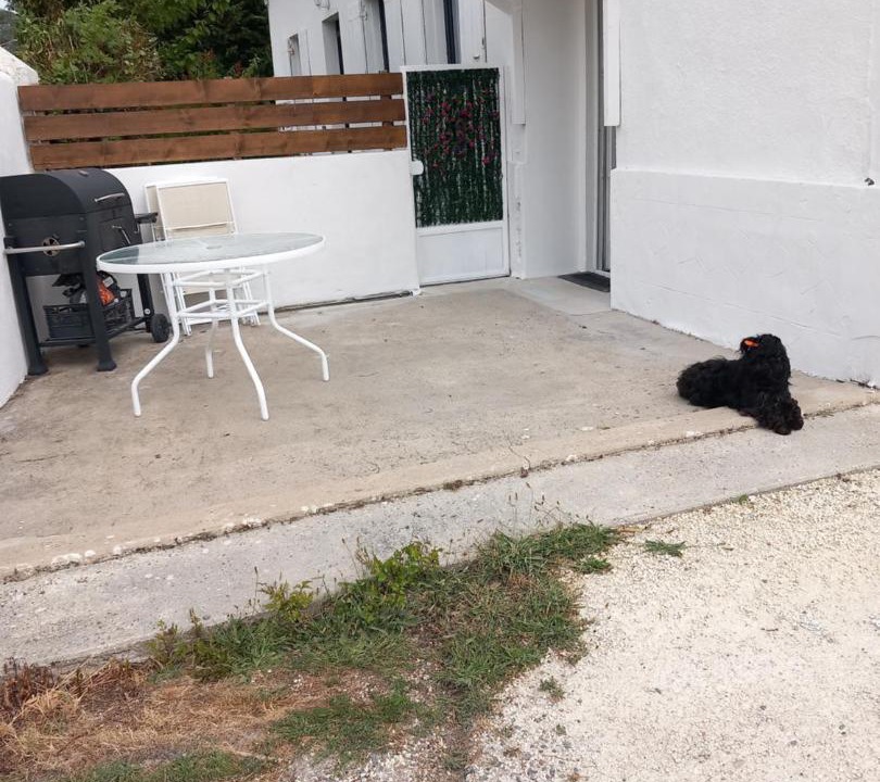 Photo of Others in Arvert