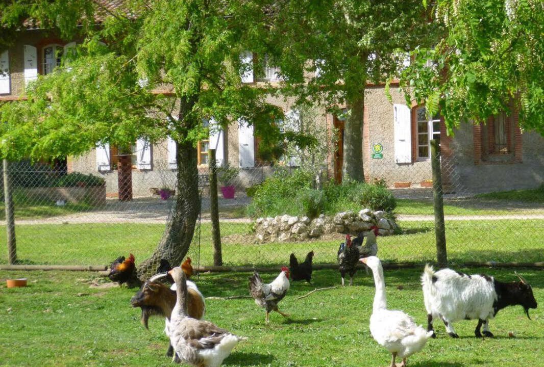 Photo of Others in Villematier