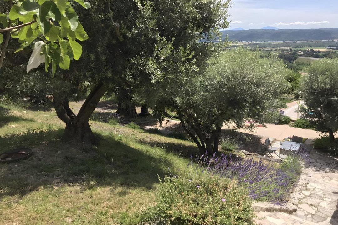 Photo of Others in Volx