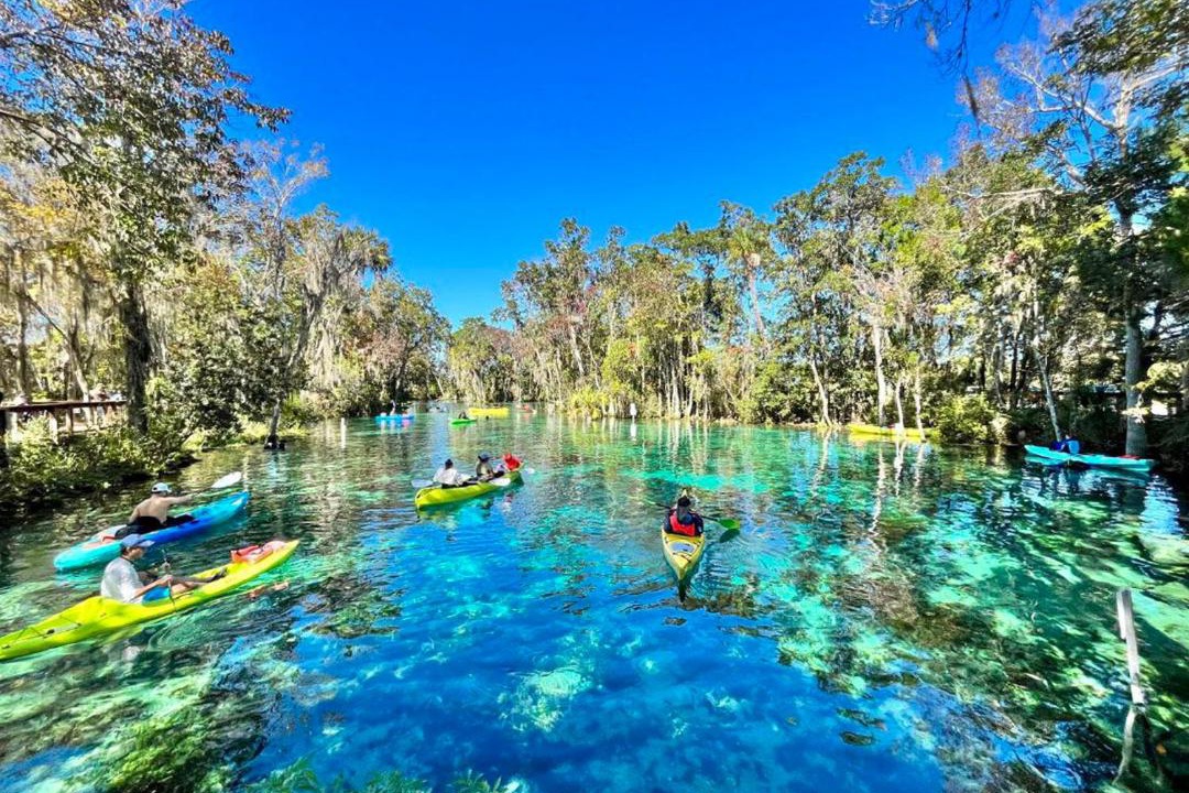 Photo of Others in Crystal River