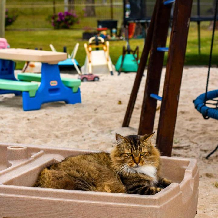 Photo of Others in South Kolan