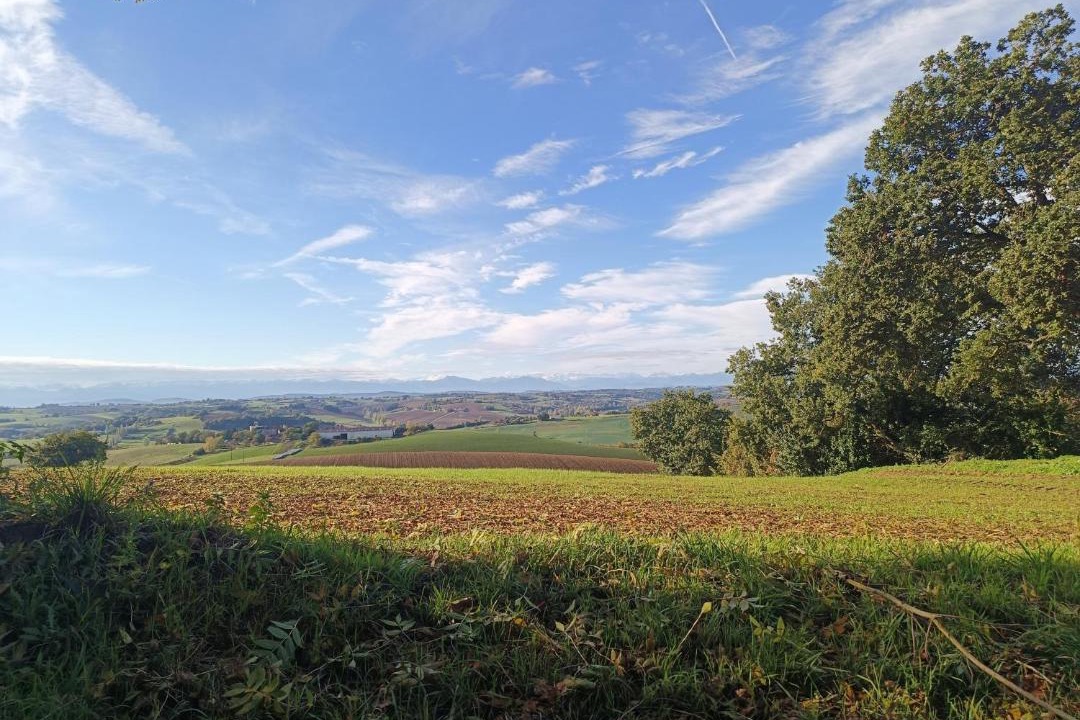 Photo of Others in Cazac