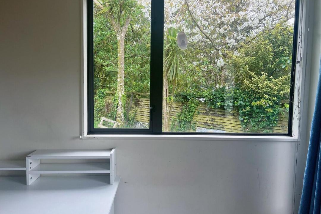 Photo of Others in Johnsonville