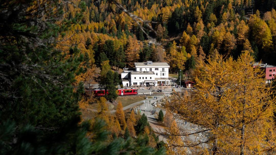 Photo of Others in Pontresina